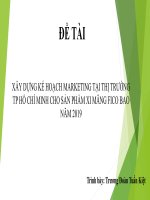XÂY DỰNG kế HOẠCH MARKETING tại THỊ TRƯỜNG TP hồ CHÍ MINH CHO sản PHẨM XI MĂNG FICO BAO năm 2019 