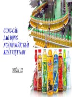 Kinh tế vi mô Cung cầu lao động ngành nước giải khát Việt Nam