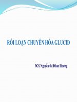 Bài giảng Rối loạn chuyển hóa Glucid - PGS. Nguyễn Thị Đoàn Hương
