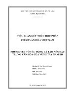 Tiểu luận cơ sở văn hóa việt nam những yếu tố tác động và tạo nên đặc trưng văn hóa của vùng tây nam bộ
