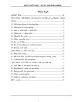 tìm hiểu về chiến lược sản phẩm tập đoàn thiên long 3042115 