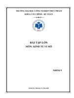 BÀI tập lớn môn KINH tế VI mô 
