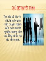 3.Thuyết trình  chuyên đề TÌM HIỂU SỐ LIỆU VIỆC CHO SINH VIÊN NGÀNH KIỂM TOÁN môn KIỂM TOÁN