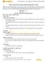 giao-an-mi-thuat-lop-2-sach-chan-troi-sang-tao