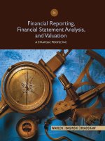 Financial reporting financial statement analysis and valuation a strategic perspective 8e wahlen 1 