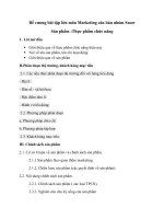 Đề cương bài tập lớn môn marketing căn bản nhóm snow