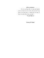 Bảo đảm công bằng về phúc lợi xã hội cho đồng bào dân tộc thiểu số ở các tỉnh biên giới phía bắc việt nam hiện nay 