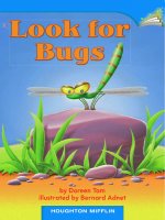 Look for bugs 