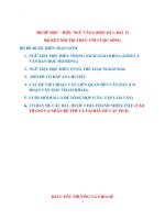 Đọc hiểu Ngữ văn 6, sách kết nối tri thức với cuộc sống (Bài 3)