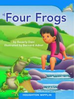 Four frogs 