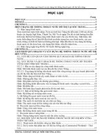 Giải pháp quy hoạch và xây dựng hệ thống thoát nước đô thị bền vững  