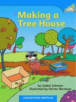 Making a tree house 