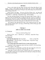 Đề án bảo vệ môi trường đơn giản dự án NHÀ máy CHẾ BIẾN gỗ HÙNG VINH  