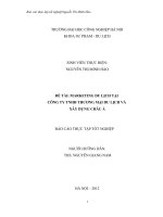 Báo cáo thực tập tốt nghiệp marketing du lịch tại công ty tnhh thương mại du lịch và xây dựng châu á  