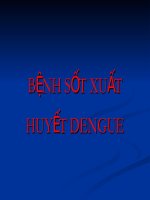 Bài giảng BỆNH sốt XUẤT HUYẾT DENGUE  