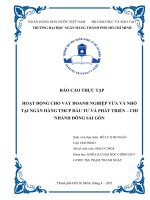 HOẠT ĐỘNG CHO VAY DOANH NGHIỆP vừa và NHỎ tại NGÂN HÀNG TMCP đầu tư và PHÁT TRIỂN – CHI NHÁNH ĐÔNG sài gòn 