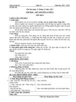 Tuần 16 giáo án lớp 3 cv2345