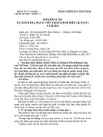 Bao cao tu kiem tra Dang vien