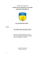 TIỂU LUẬN môn môi TRƯỜNG đề tài ô NHIỄM môi TRƯỜNG nước 