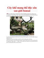 Cay khe mang the doc xon xao gioi bonsai