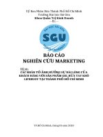 Các nhân tố ảnh hưởng sự hài lòng của khách hàng với sản phẩm gel rửa tay khô Lifebuoy tại thành phố Hồ Chí Minh