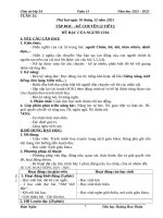 Tuần 15 giáo án lớp 3 cv2345