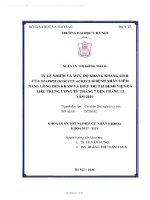 Tỷ lệ nhiễm và mức độ kháng kháng sinh của staphylococcus aureus ở bệnh nhân viêm lỗ chân lông đến khám và điều trị tại bệnh viện da liễu trung ương từ tháng 7 đến tháng 12 năm 2020 