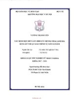 Xác định đột biến gen HBB gây bệnh β  thalassemia bằng kỹ thuật giải trình tự gen sanger 