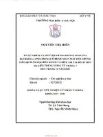 Tỷ lệ nhiễm và mức độ kháng kháng sinh của klebsiella pneumoniae ở bệnh nhân mắc hội chứng tiết dịch âm đạo đến khám và điều trị tại bệnh viện da liễu trung ương từ tháng 7 đến tháng 12 năm 2020 