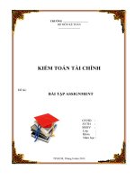 25 bài tiểu luận ý KIẾN QUAN điểm PHÂN TÍCH KIỂM TOÁN môn kiểm toán