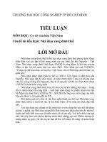 TIỂU LUẬN cơ sở văn hóa việt nam đề tài nhã nhạc cung đình huế 