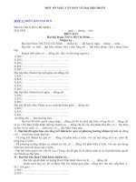 Cac bieu mau can thiet cho phien Dia hoi Doan TNCS HCM