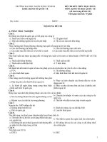 Đề thi kết thúc học phần môn Kinh tế học quốc tế năm 2019-2020 - Trường Đại học Ngân Hàng TP.HCM (Đề 1)