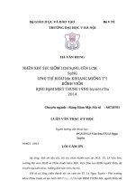 Nhận xét đặc điểm lâm sàng, cận lâm sàng ung thư biểu mô khoang miệng tại BV răng hàm mặt TW hà nội năm 2014 