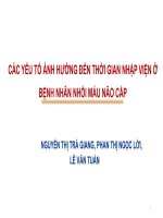 Bài giảng Các yếu tố ảnh hưởng đến thời gian nhập viện ở bệnh nhân nhồi máu não cấp - BS. Nguyễn Thị Trà Giang