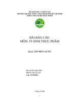 Nguyên lý của quá trình lên men lactic