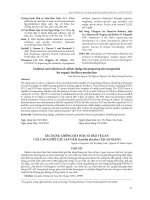 Tác dụng chống oxy hóa và bảo vệ gan của cao chiết cây Lan gấm (Lusidia discolor) tại An Giang