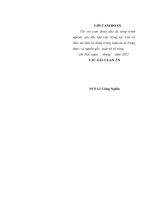 Chất lượng đội ngũ cán bộ đoàn thanh niên cộng sản hồ chí minh các trường đại học trên địa bàn thành phố hà nội hiện nay