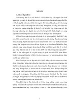 LUẬN văn THẠC sĩ   quá trình di dân và ảnh hưởng của nó đến sự phát triển kinh tế   xã hội ở thị xã tân uyên (2010   2018)