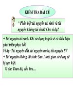 khoi phuc moi truong va gin giu thien nhien hoang da