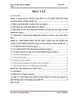 Tổ chức công tác kế toán tại Công ty cổ phần Thương mại và ứng dụng công nghệ TP