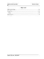 Thực trạng hạch toán tiêu thụ hàng hoá và xác định kết quả tiêu thụ hàng hoá tạị Công ty TNHH thương mại và tin học Long Thành