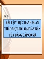 THUC HANH SOAN VAN BAN DANG