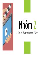 Tiểu luận các hệ Video và chuẩn Video