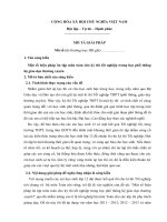 sangkienkinhnghiemgiaiB Ben Tre