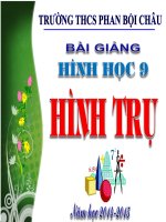 Hinh non