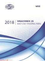 CÔNG TY CỔ PHẦN VINACONEX. BÁO CÁO THƯỜNG NIÊN NĂM 2018