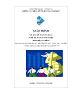 Giáo trình mô đun Kế toán bán hàng (Nghề Kế toán doanh nghiệp - Trình độ cao đẳng) – CĐ Kỹ thuật Công nghệ BR–VT