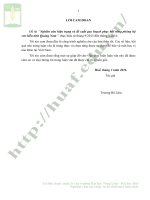 Nghiên cứu hiện trạng và đề xuất quy hoạch phục hồi rừng phòng hộ ven biển tỉnh quảng nam 