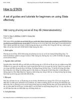 Hiện tượng phương sai sai số thay đổi Heteroskedasticity